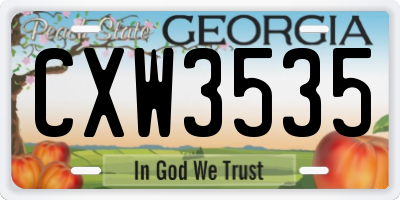 GA license plate CXW3535