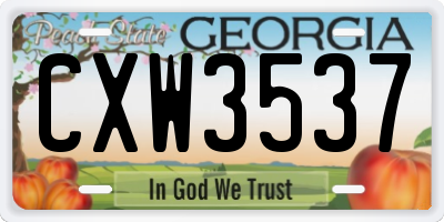 GA license plate CXW3537