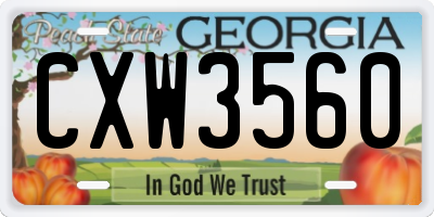 GA license plate CXW3560