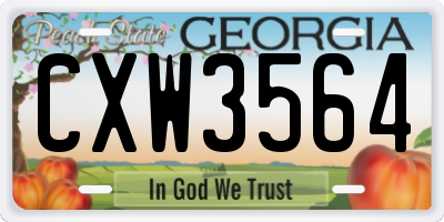 GA license plate CXW3564