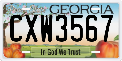 GA license plate CXW3567