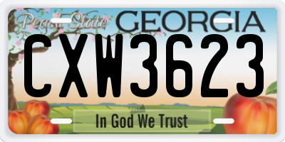 GA license plate CXW3623