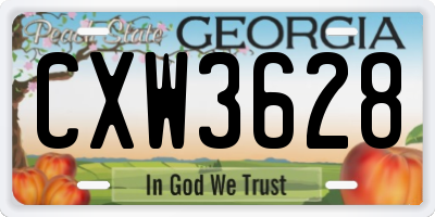 GA license plate CXW3628