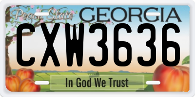 GA license plate CXW3636