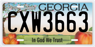 GA license plate CXW3663