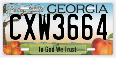 GA license plate CXW3664
