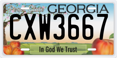 GA license plate CXW3667