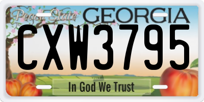 GA license plate CXW3795