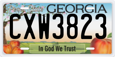 GA license plate CXW3823