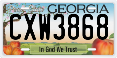 GA license plate CXW3868