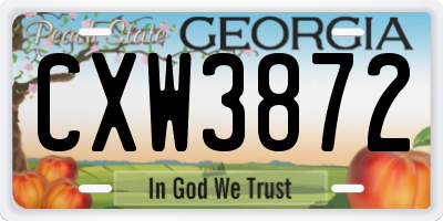 GA license plate CXW3872