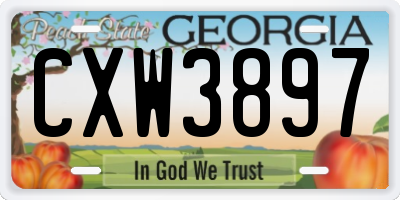 GA license plate CXW3897