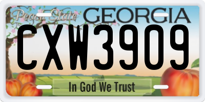 GA license plate CXW3909
