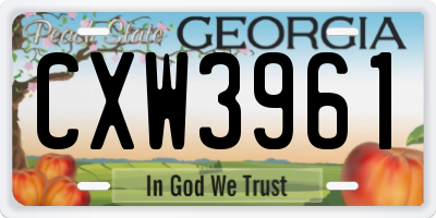GA license plate CXW3961