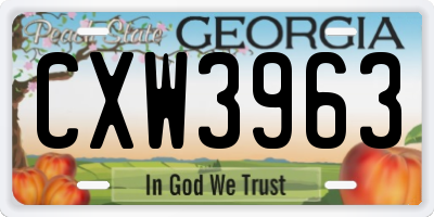 GA license plate CXW3963