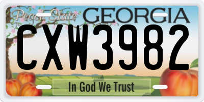 GA license plate CXW3982