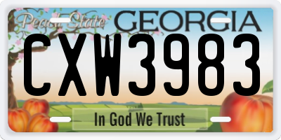 GA license plate CXW3983