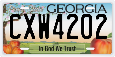 GA license plate CXW4202