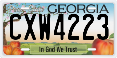 GA license plate CXW4223