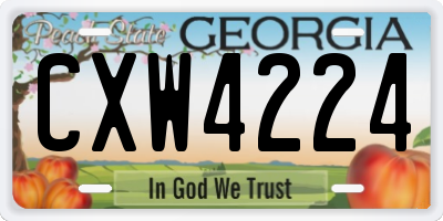 GA license plate CXW4224