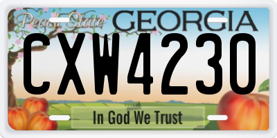 GA license plate CXW4230