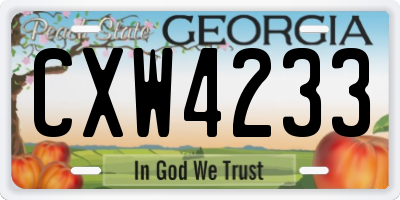 GA license plate CXW4233