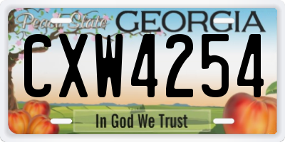 GA license plate CXW4254