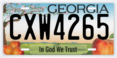 GA license plate CXW4265
