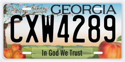 GA license plate CXW4289