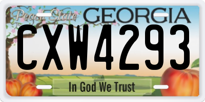 GA license plate CXW4293