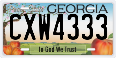GA license plate CXW4333