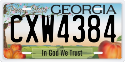 GA license plate CXW4384