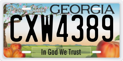 GA license plate CXW4389