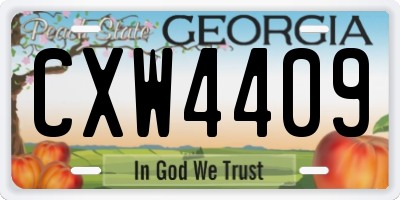 GA license plate CXW4409