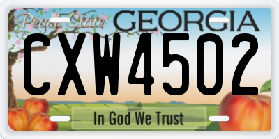 GA license plate CXW4502