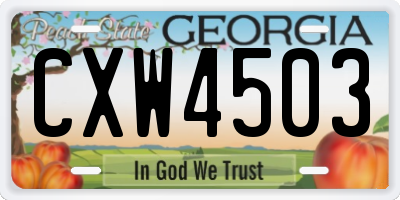 GA license plate CXW4503