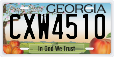 GA license plate CXW4510