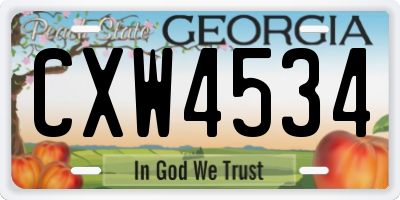 GA license plate CXW4534