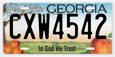 GA license plate CXW4542