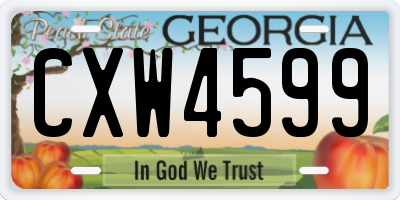 GA license plate CXW4599