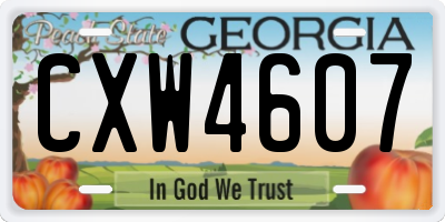 GA license plate CXW4607