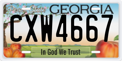 GA license plate CXW4667