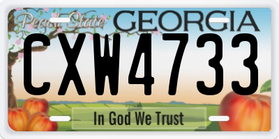 GA license plate CXW4733
