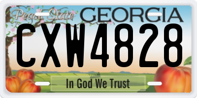 GA license plate CXW4828