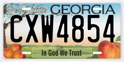 GA license plate CXW4854