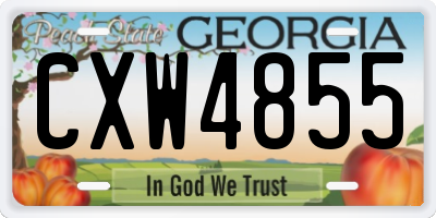 GA license plate CXW4855