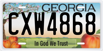 GA license plate CXW4868