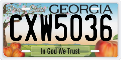 GA license plate CXW5036
