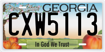 GA license plate CXW5113