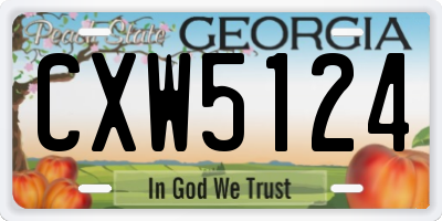 GA license plate CXW5124